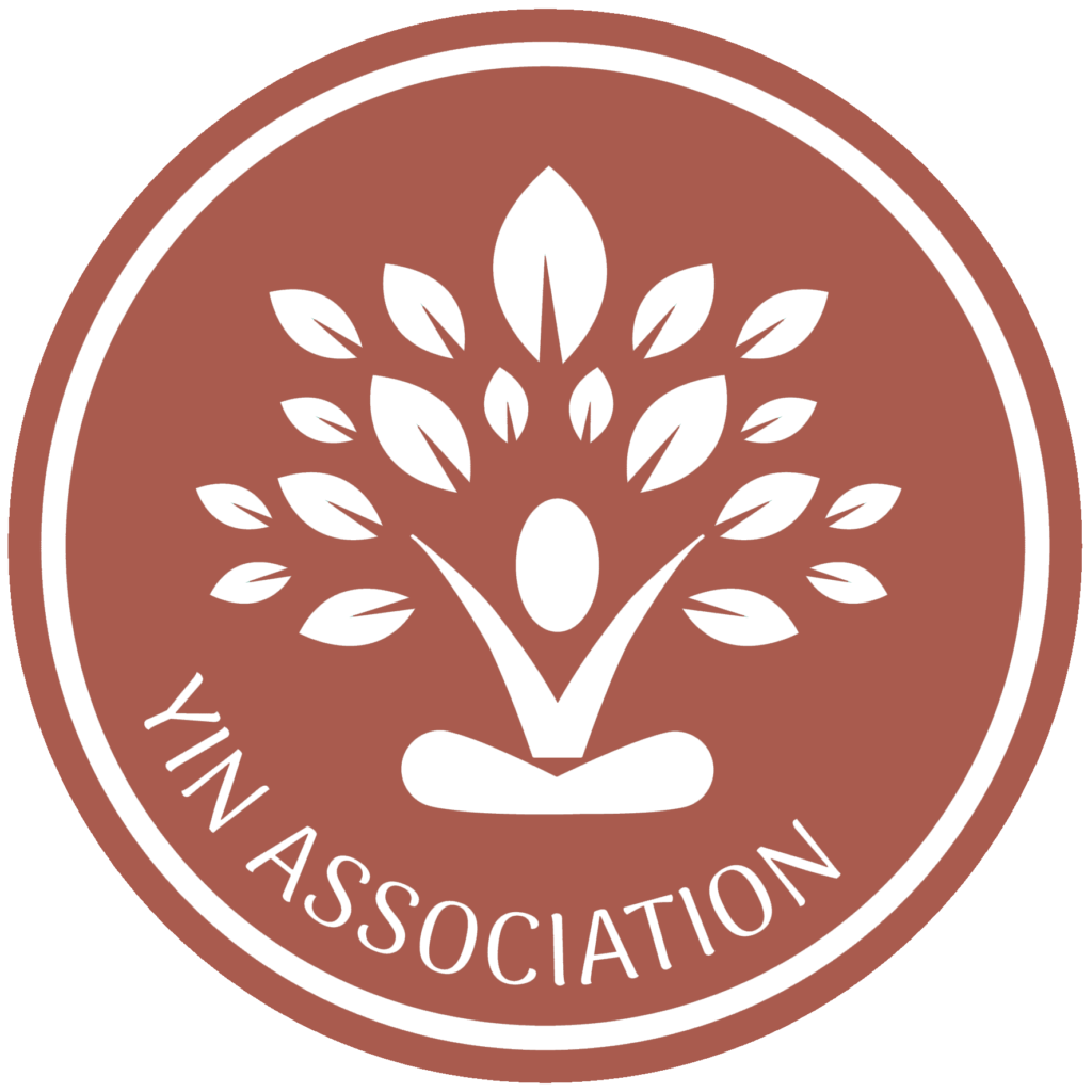 Logo_Yin_Association_yinmoment_color